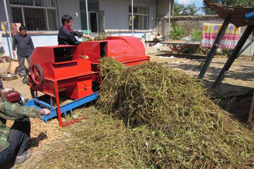 2600型花生摘果機濕摘作業效果